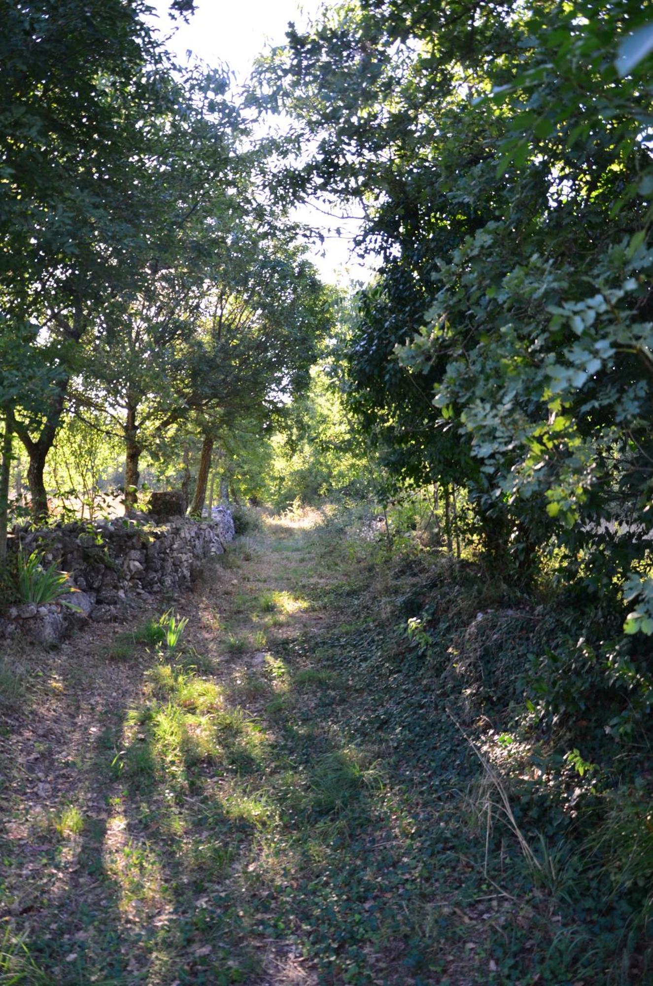 Villa Leopoldo By Istrian Country Houses Barat  외부 사진