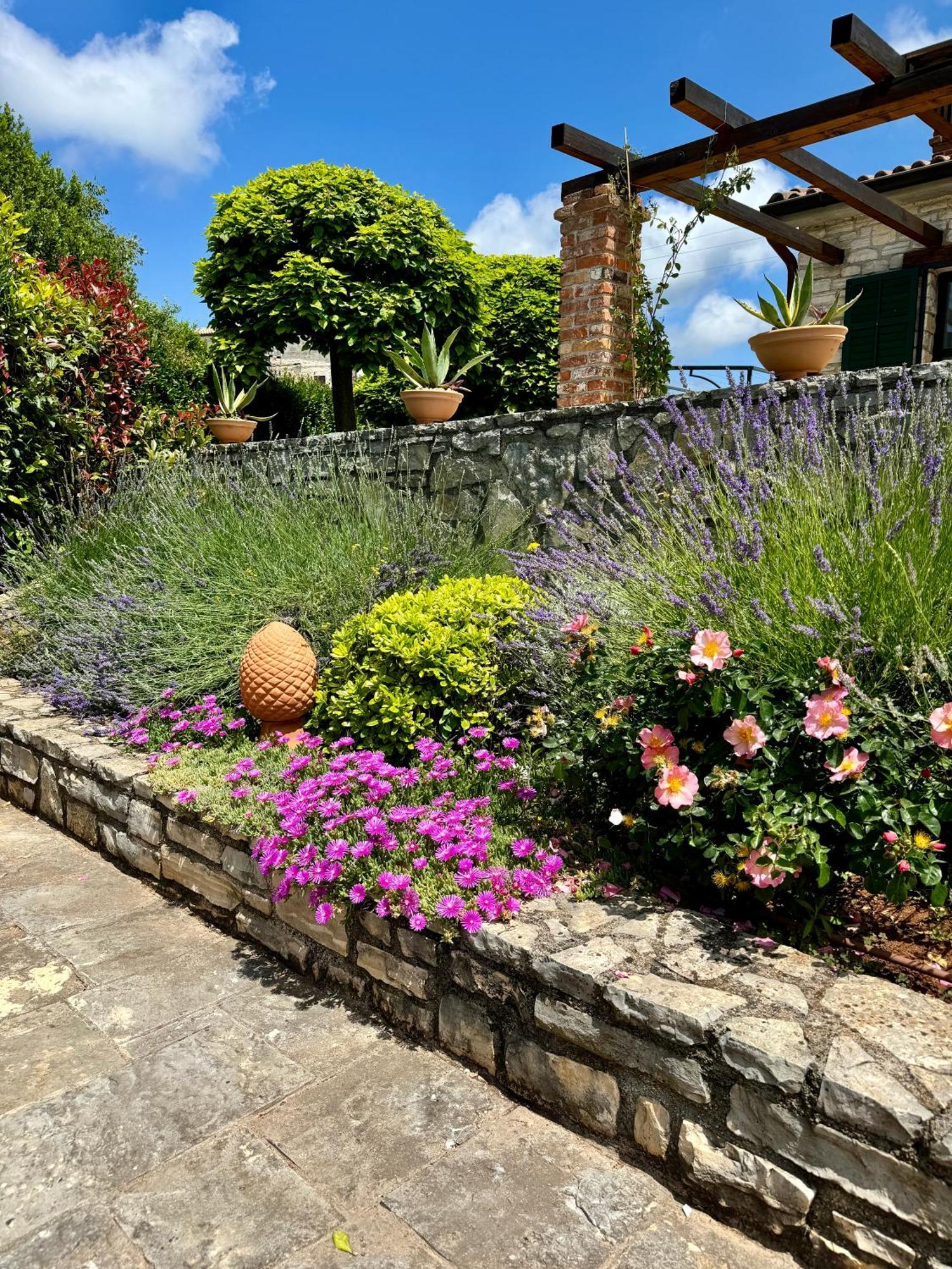 Villa Leopoldo By Istrian Country Houses Barat  외부 사진